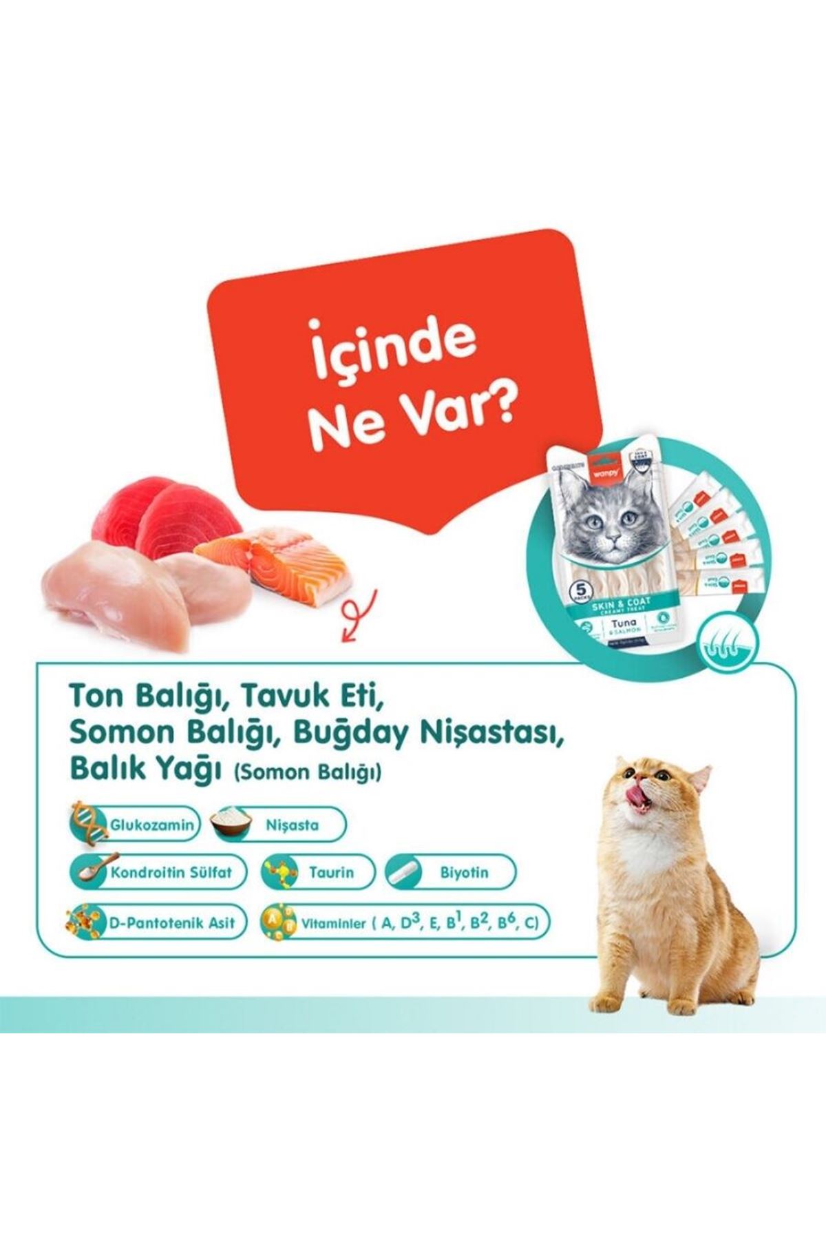 Wanpy Kedi Krema Ton Balık,Somon Tüy Sağlığı 5*14G