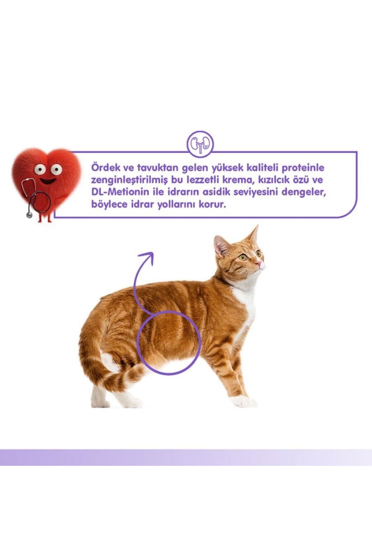 Wanpy Kedi Krema Urinary Ördekli Tavuklu 5*14 G