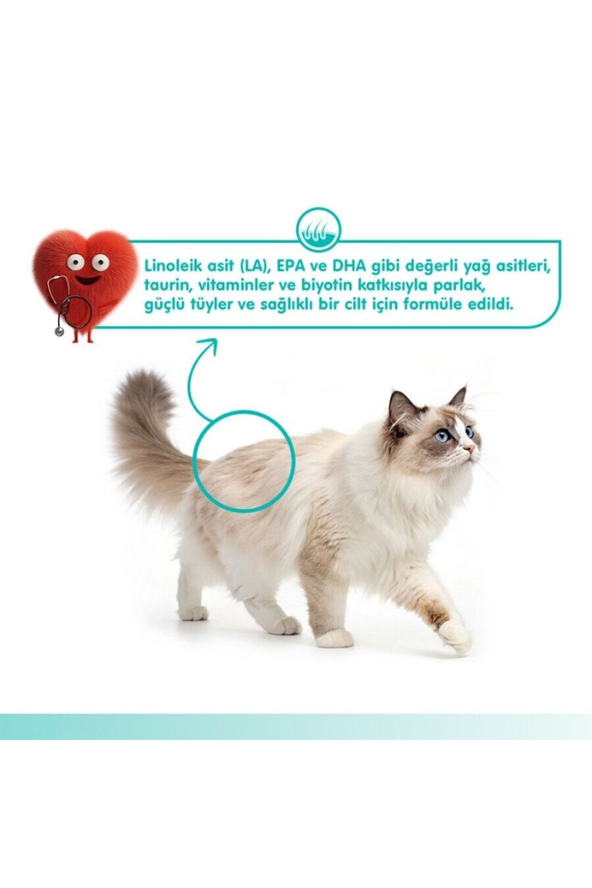 Wanpy Kedi Krema Ton Balık,Somon Tüy Sağlığı 5*14G