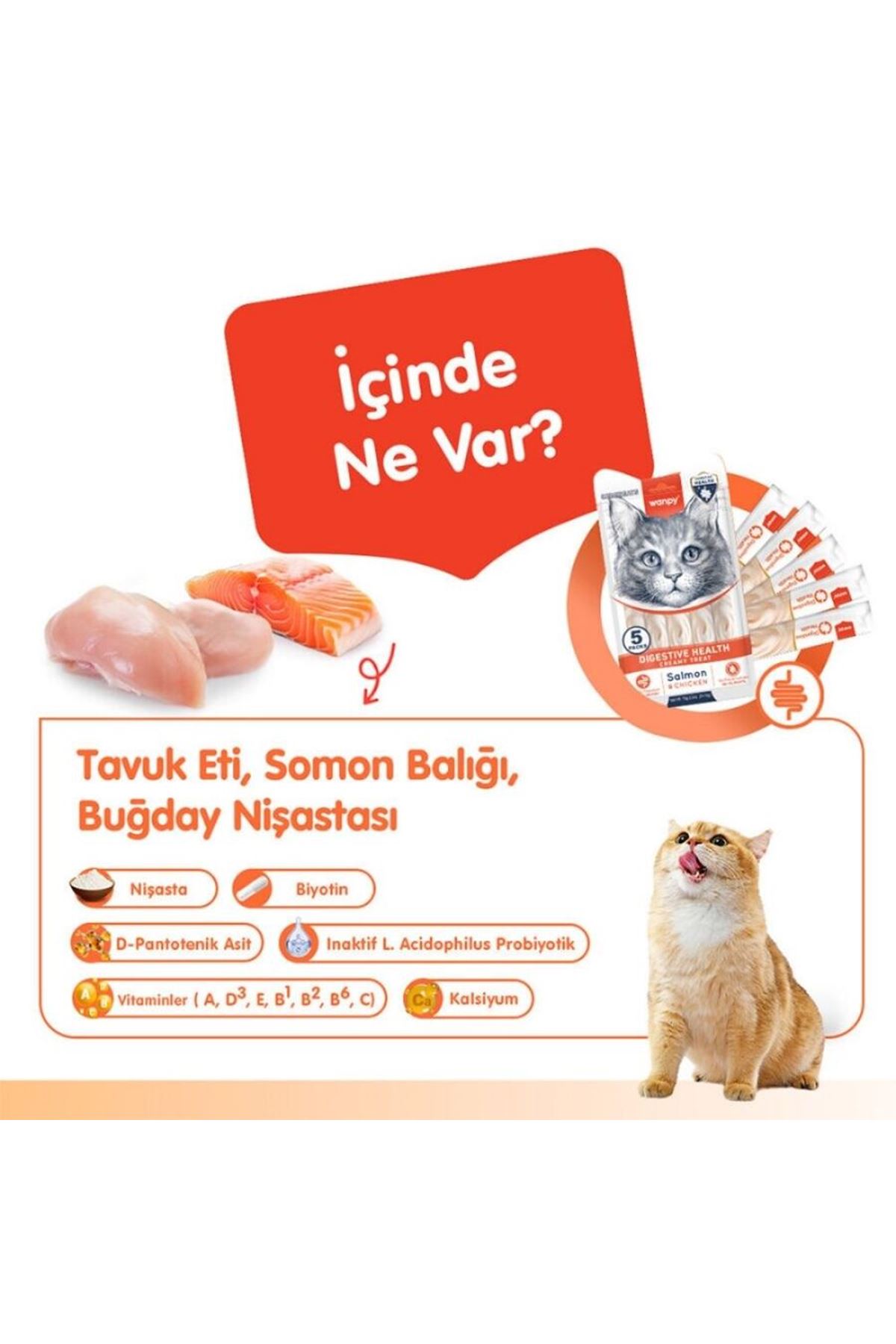 Wanpy Kedi Krema Somon,Tavuk Sindirim Dest. 5*14G