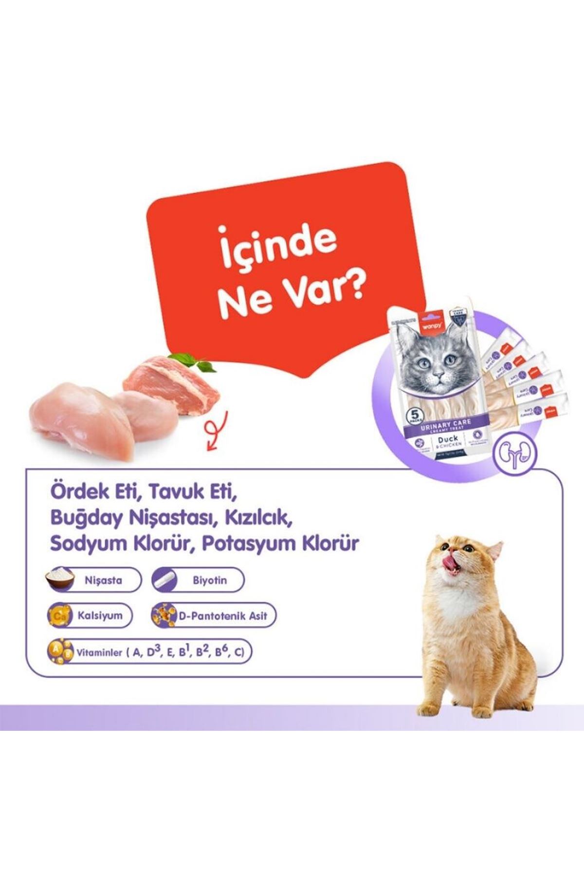 Wanpy Kedi Krema Urinary Ördekli Tavuklu 5*14 G