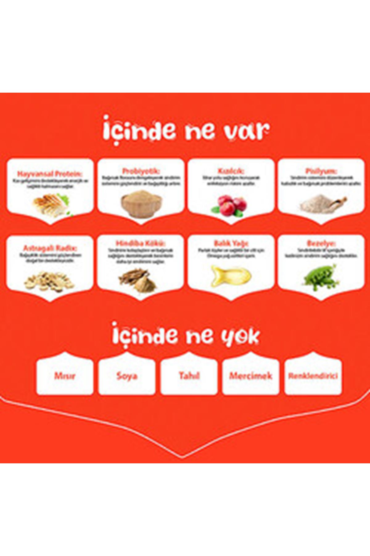 Wanpy Yavru Kedi Maması Tavuklu Tahılsız 1.5 Kg