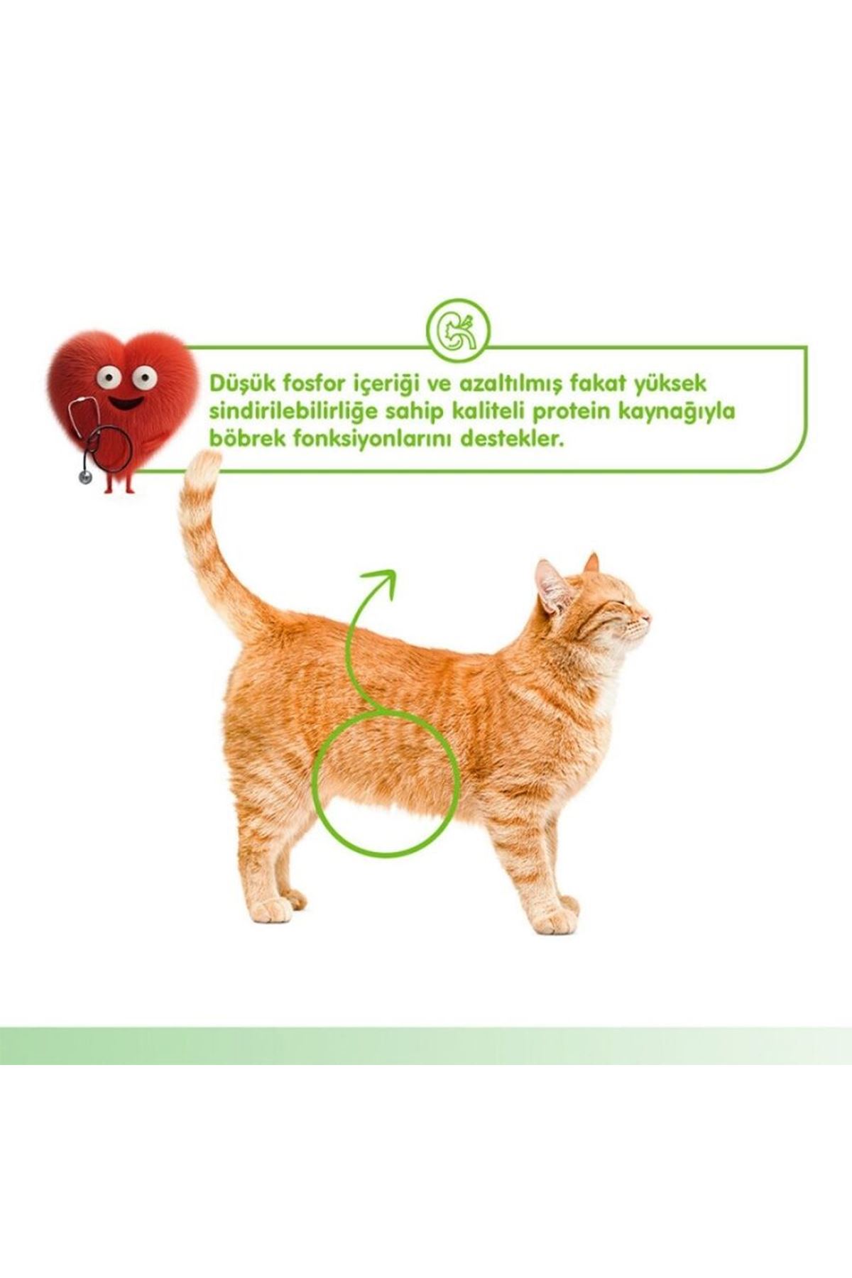 Wanpy Kedi Krema Tavuk,Sebze Böbrek Sağlığı  5*14G