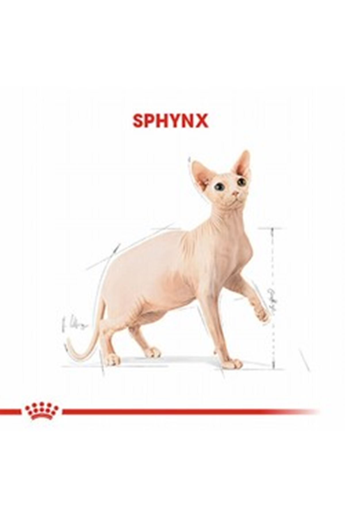 Royal Canin Kedi Maması Sfenks 2 Kg