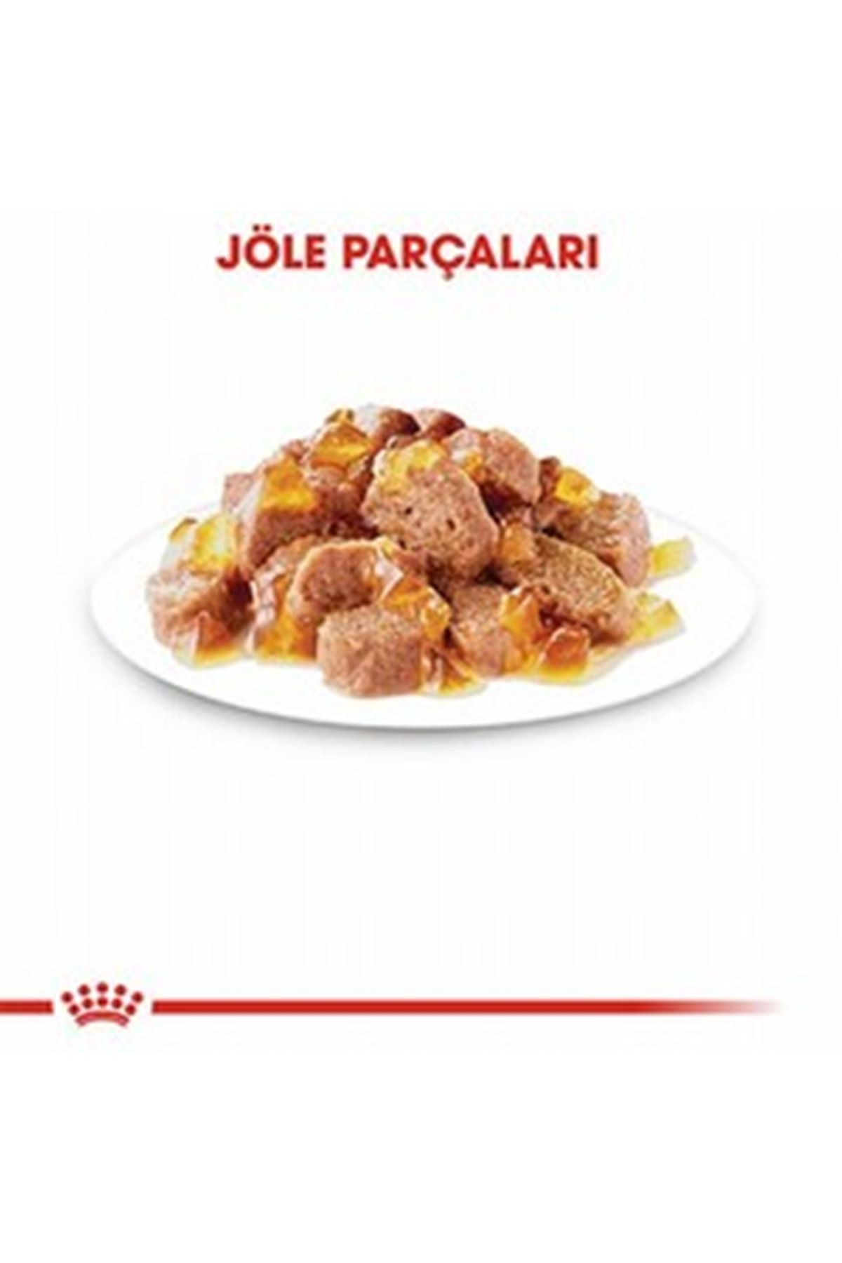 Royal Canin Kedi Yaş Maması Hair Skin Jöle 85 G