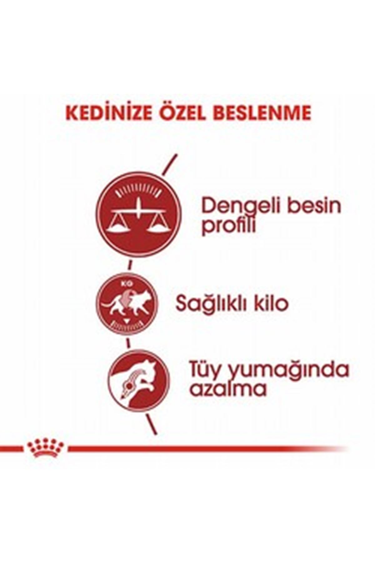 Royal Canin Kedi Maması Fit 32 4 Kg