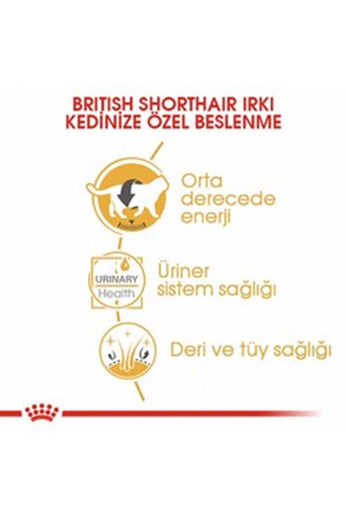 Royal Canin Kedi Yaş Maması British Shorthair 85 G