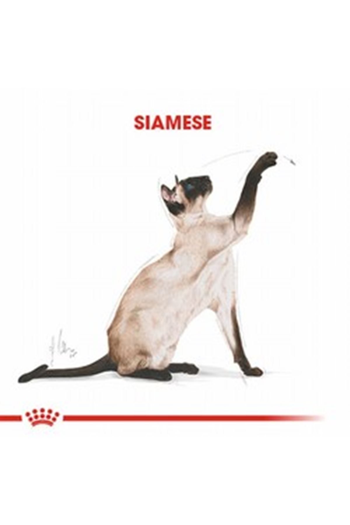 Royal Canin Kedi Maması Siyam 2 Kg