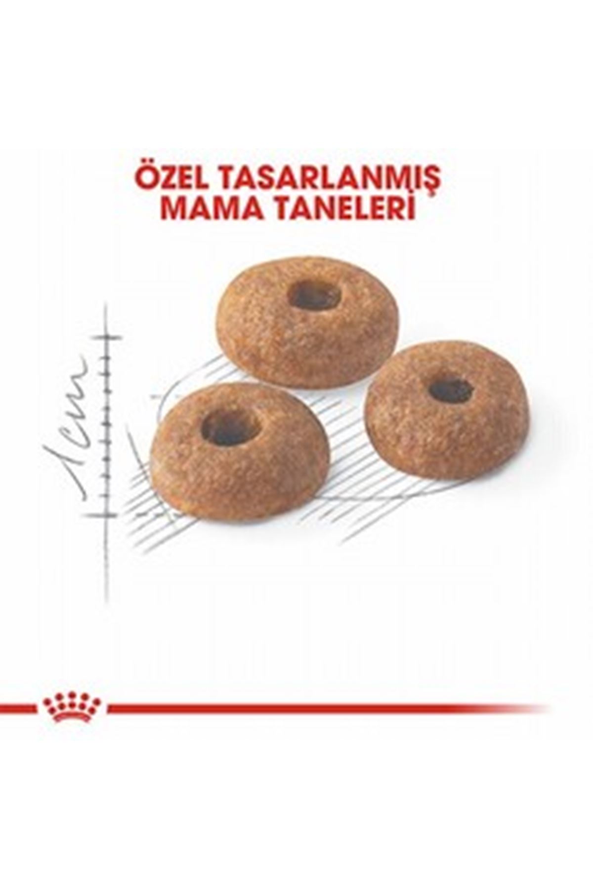 Royal Canin Kedi Maması Fit 32 4 Kg