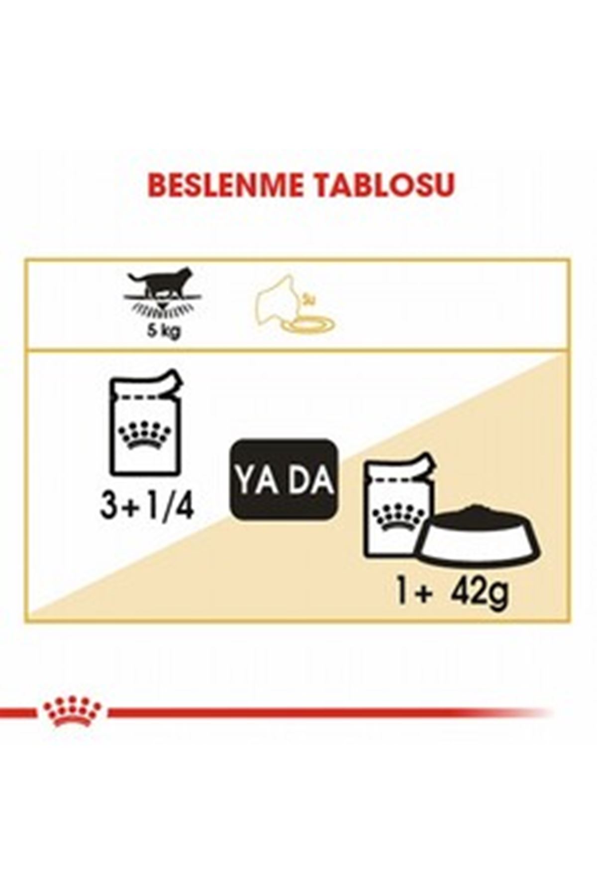 Royal Canin Kedi Yaş Maması British Shorthair 85 G