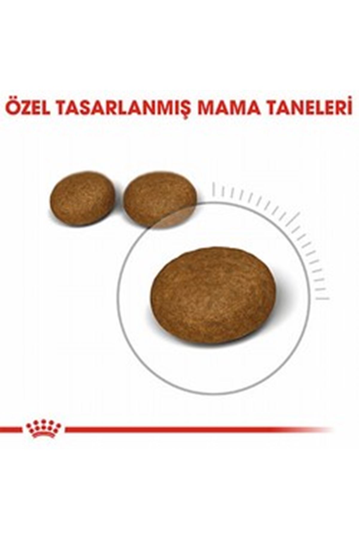 Royal Canin Kedi Maması Tüy Ve Deri Sağlığı 2 Kg