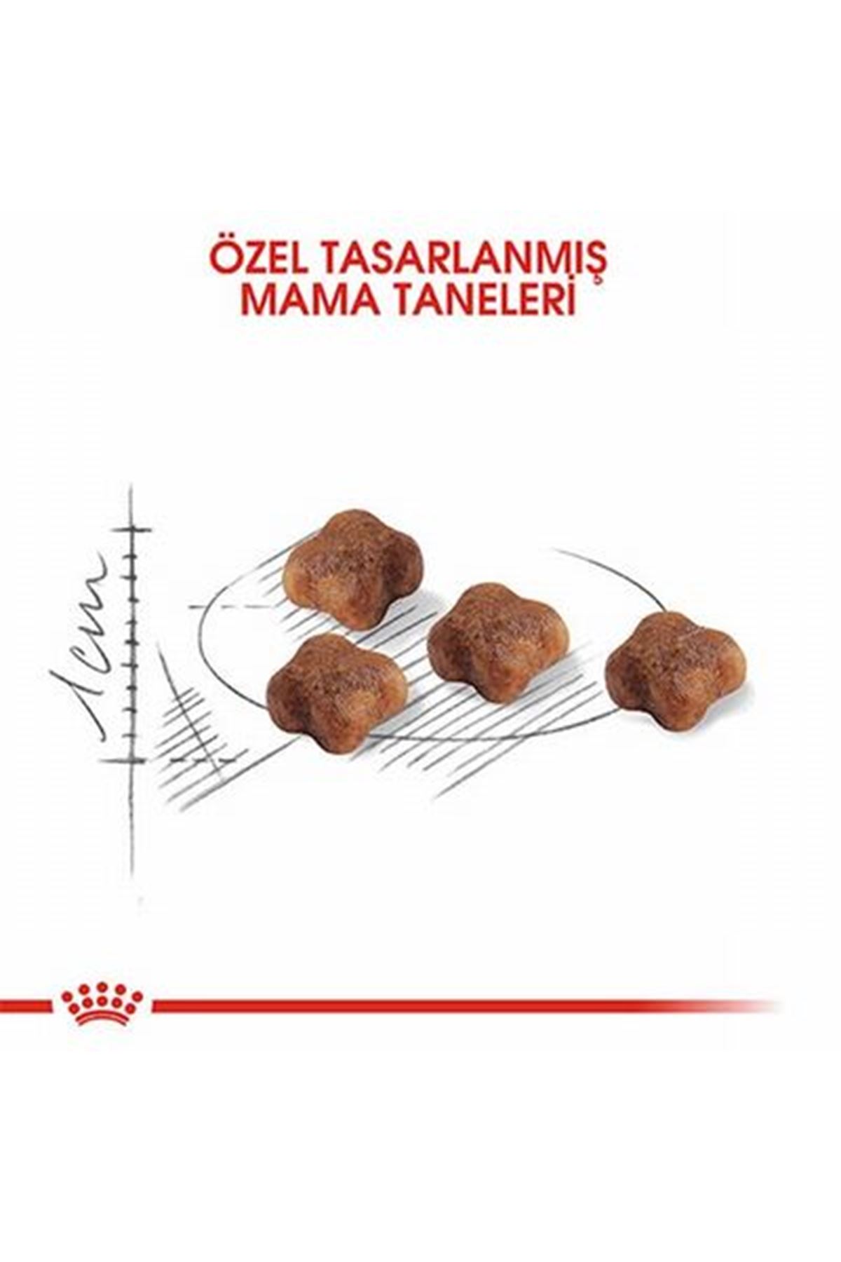 Royal Canin Kedi Maması Anne Ve Yavru 2 Kg