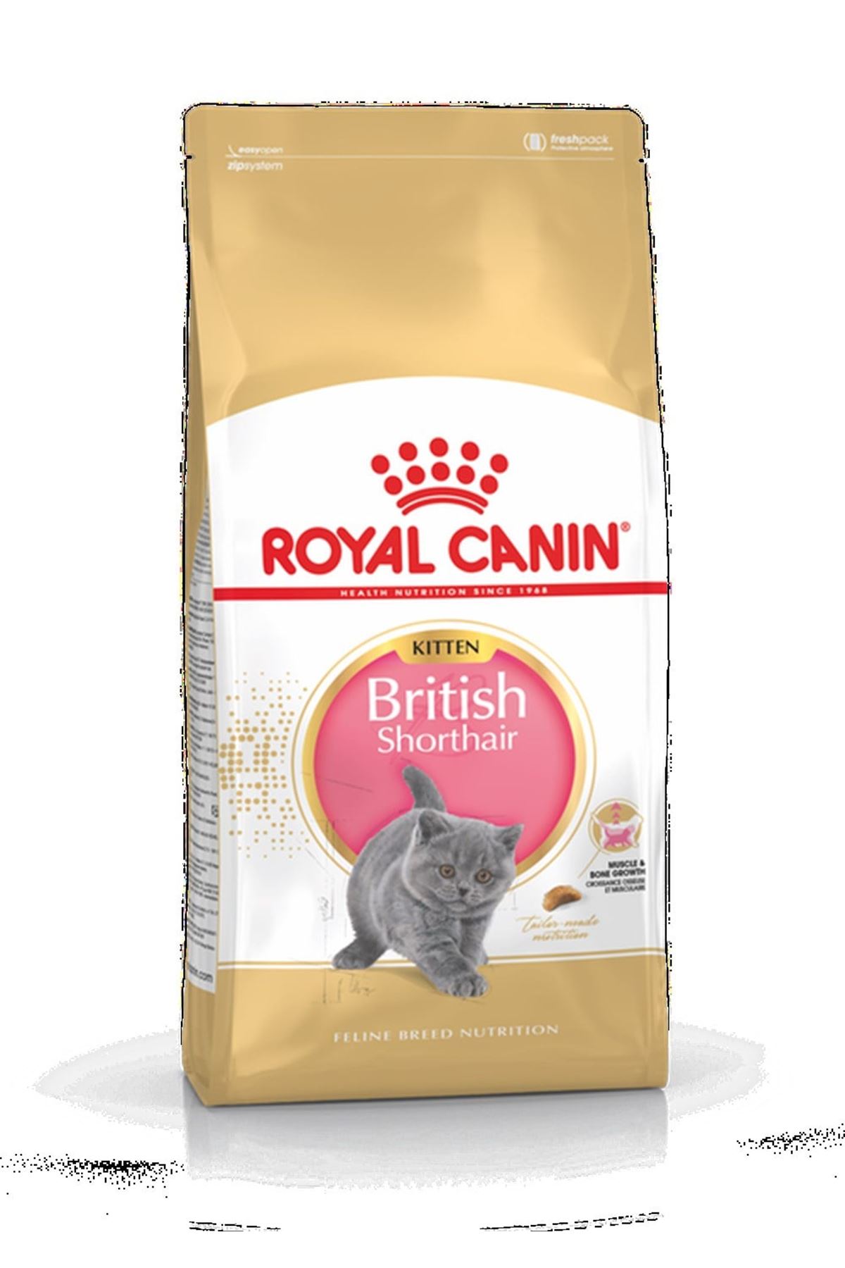 Royal Canin Yavru Kedi Mama British Shorthair 2 Kg