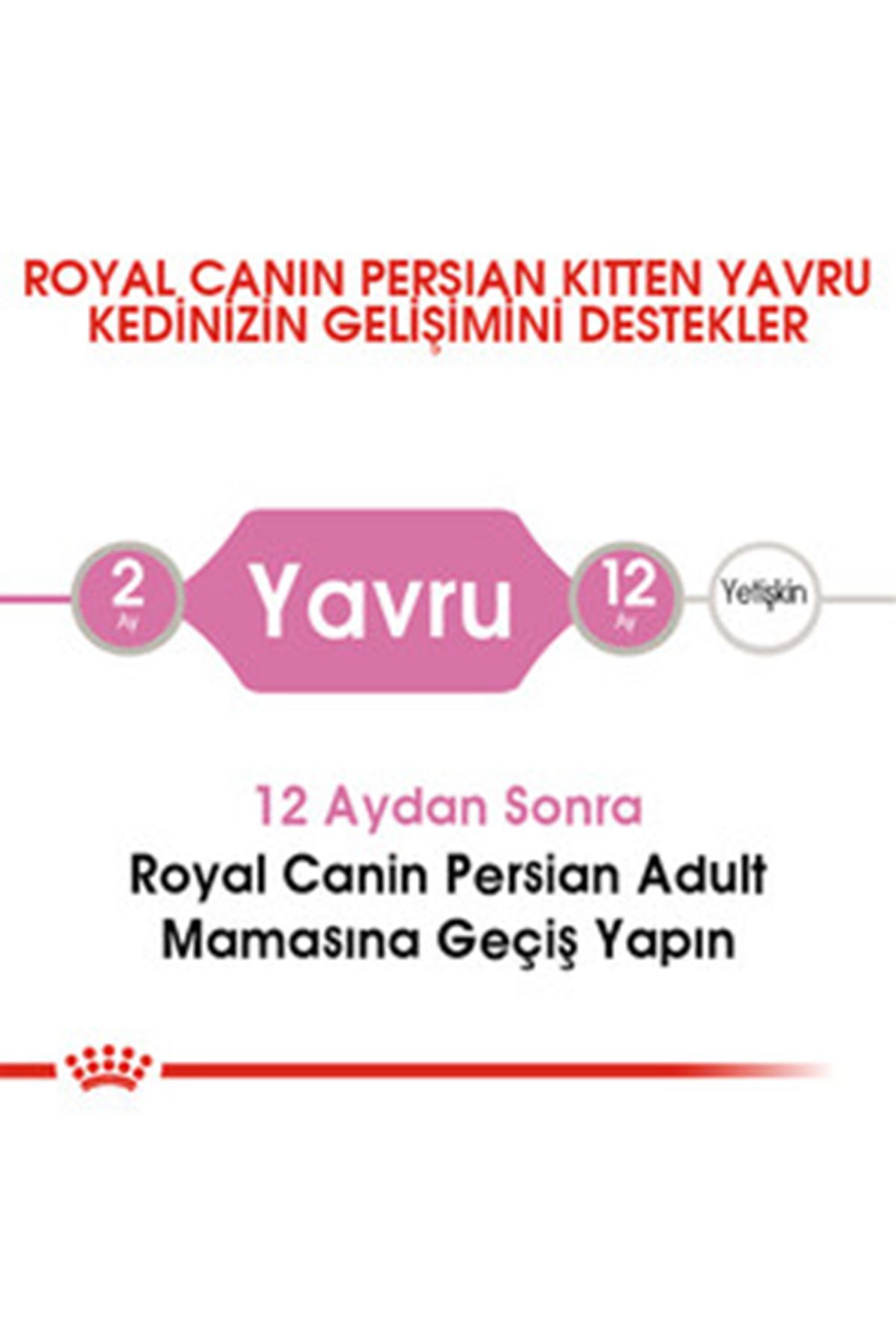 Royal Canin Yavru Kedi Maması İran Kedisi 2 Kg