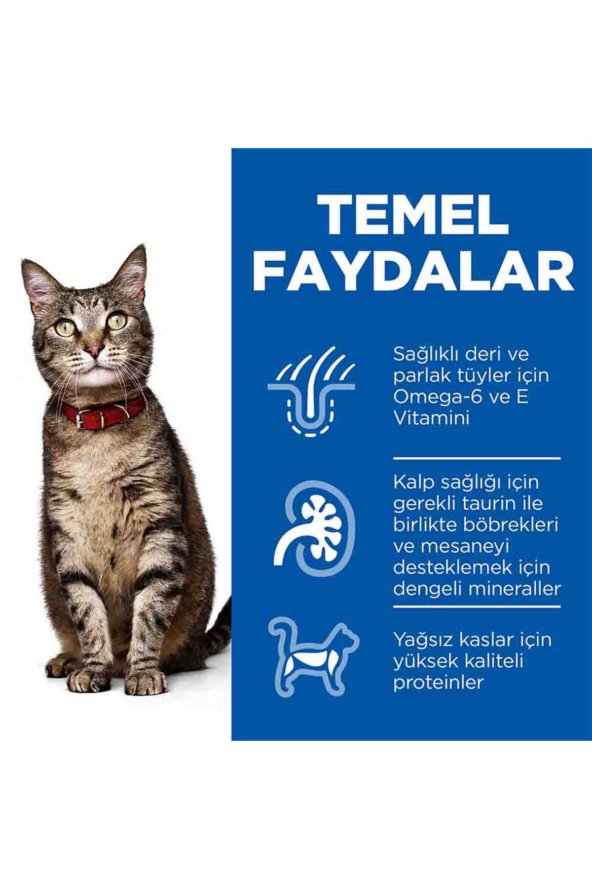 Hill's Kedi Maması Tavuklu 3 Kg