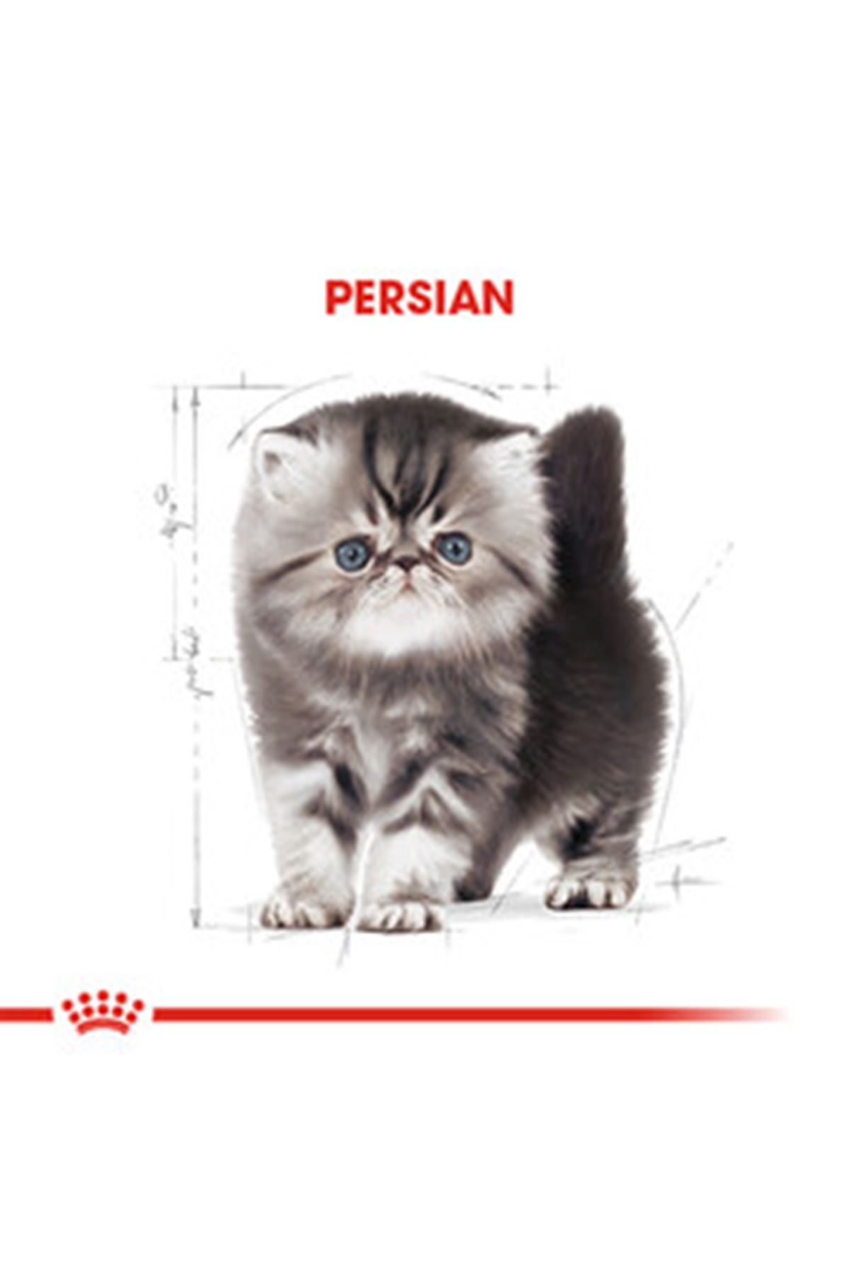Royal Canin Yavru Kedi Maması İran Kedisi 2 Kg