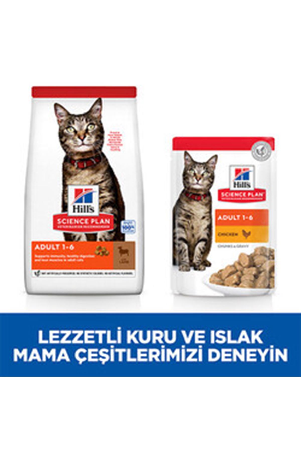 Hill's Kedi Maması Kuzulu 3 Kg