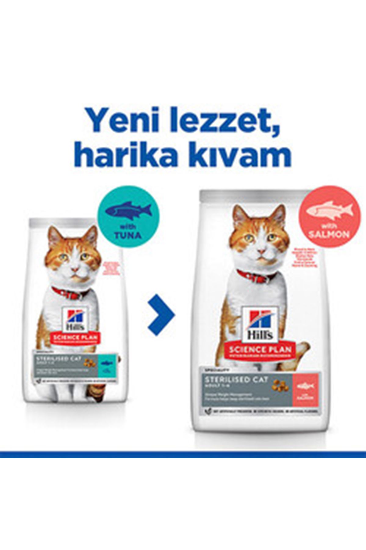 Hill's Kısır Kedi Maması Somon Avantajlı Paket 3Kg