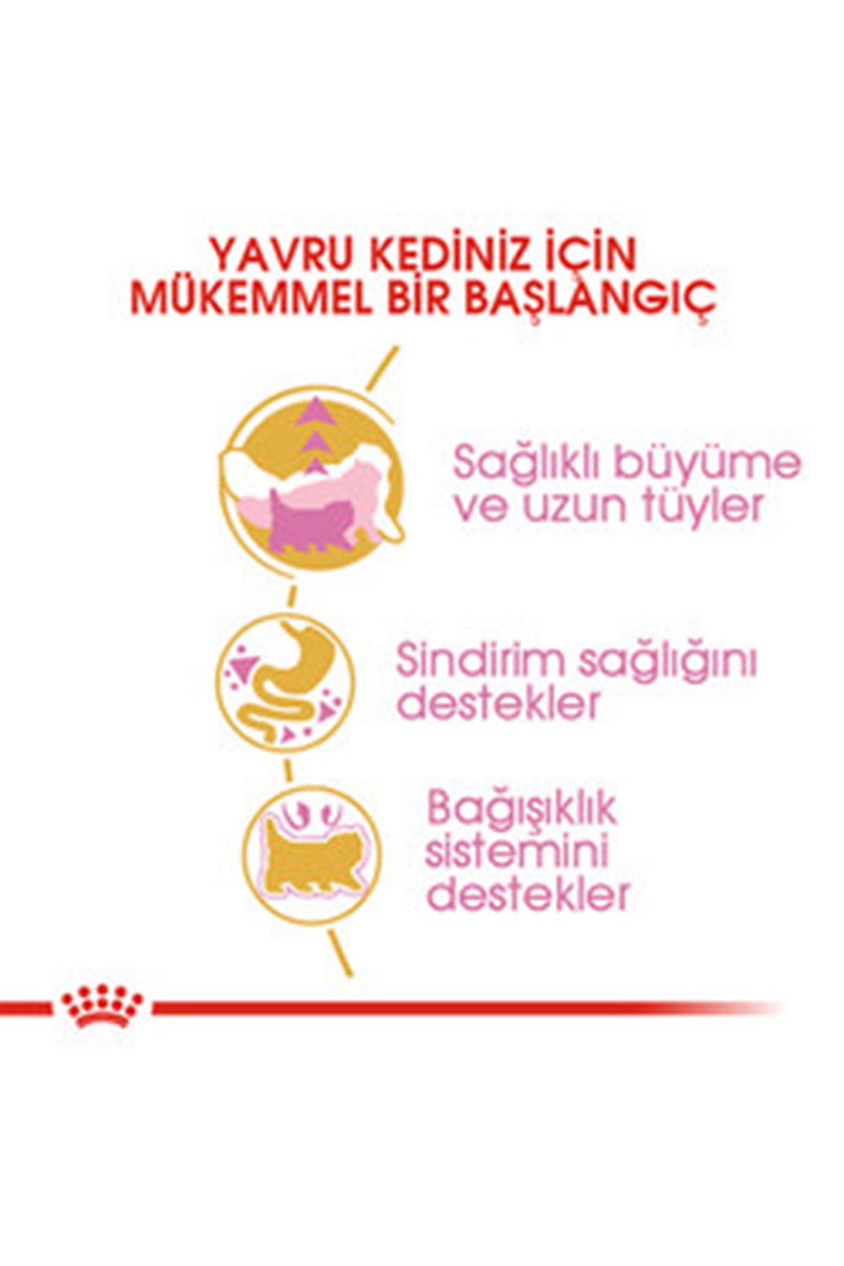 Royal Canin Yavru Kedi Maması İran Kedisi 2 Kg