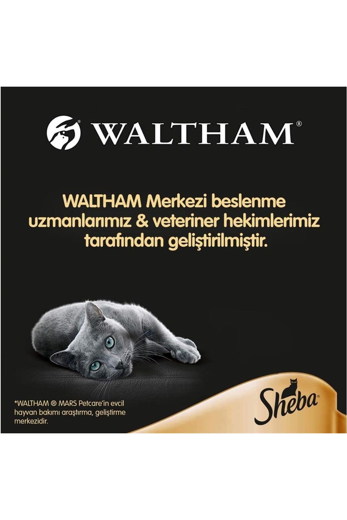 Sheba Kedi Yaş Maması Somonlu 85 G
