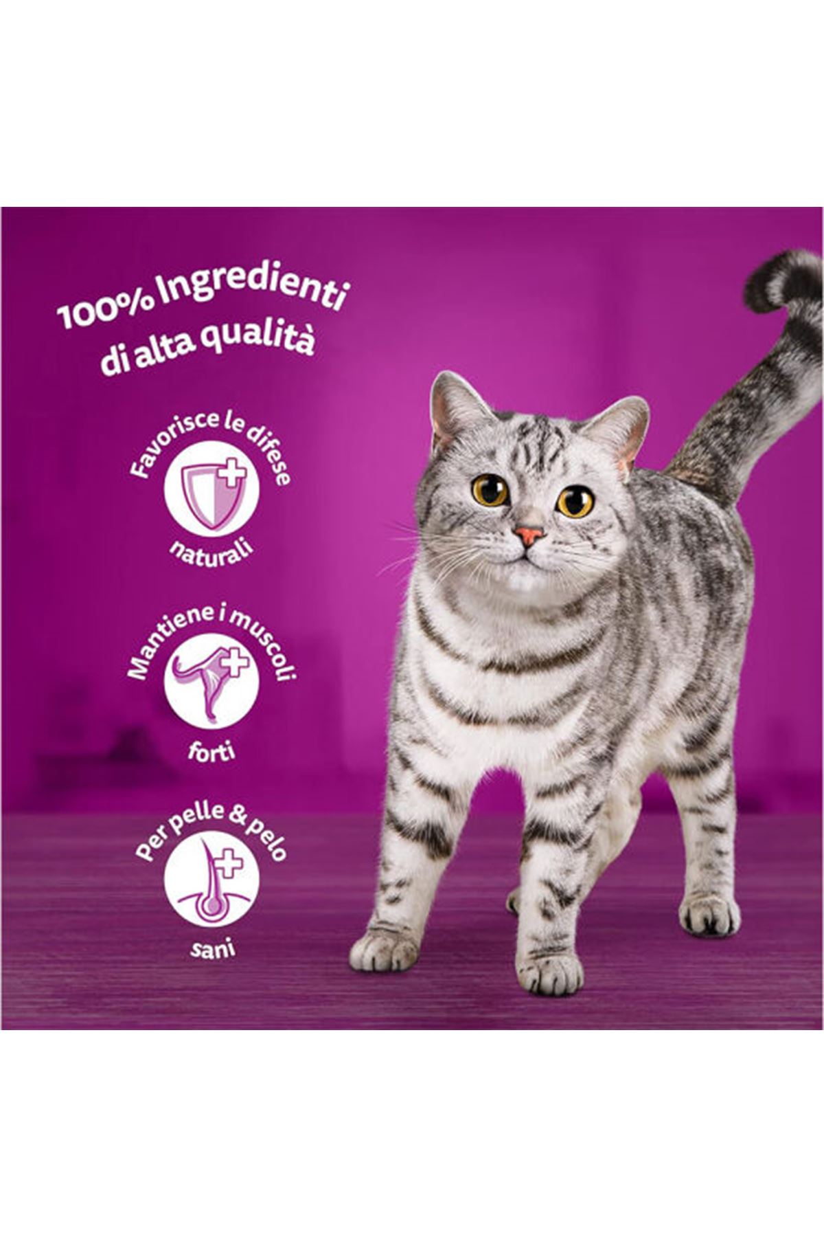 Whiskas Kedi Maması Sığır Etli 1.4 Kg