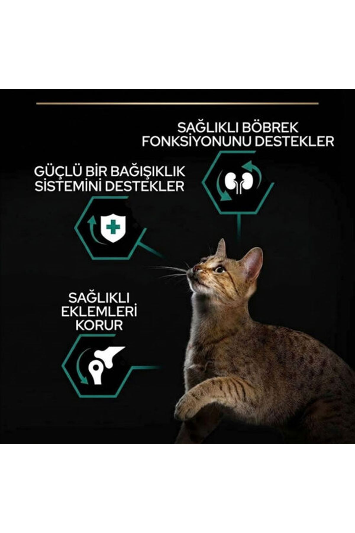 Proplan Kısır Kedi Maması Somonlu 1.5 Kg + Hediye
