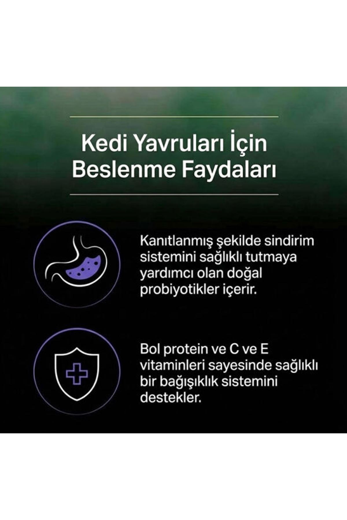 Proplan Yavru Kedi Maması Live Clear Hindili 1.4Kg