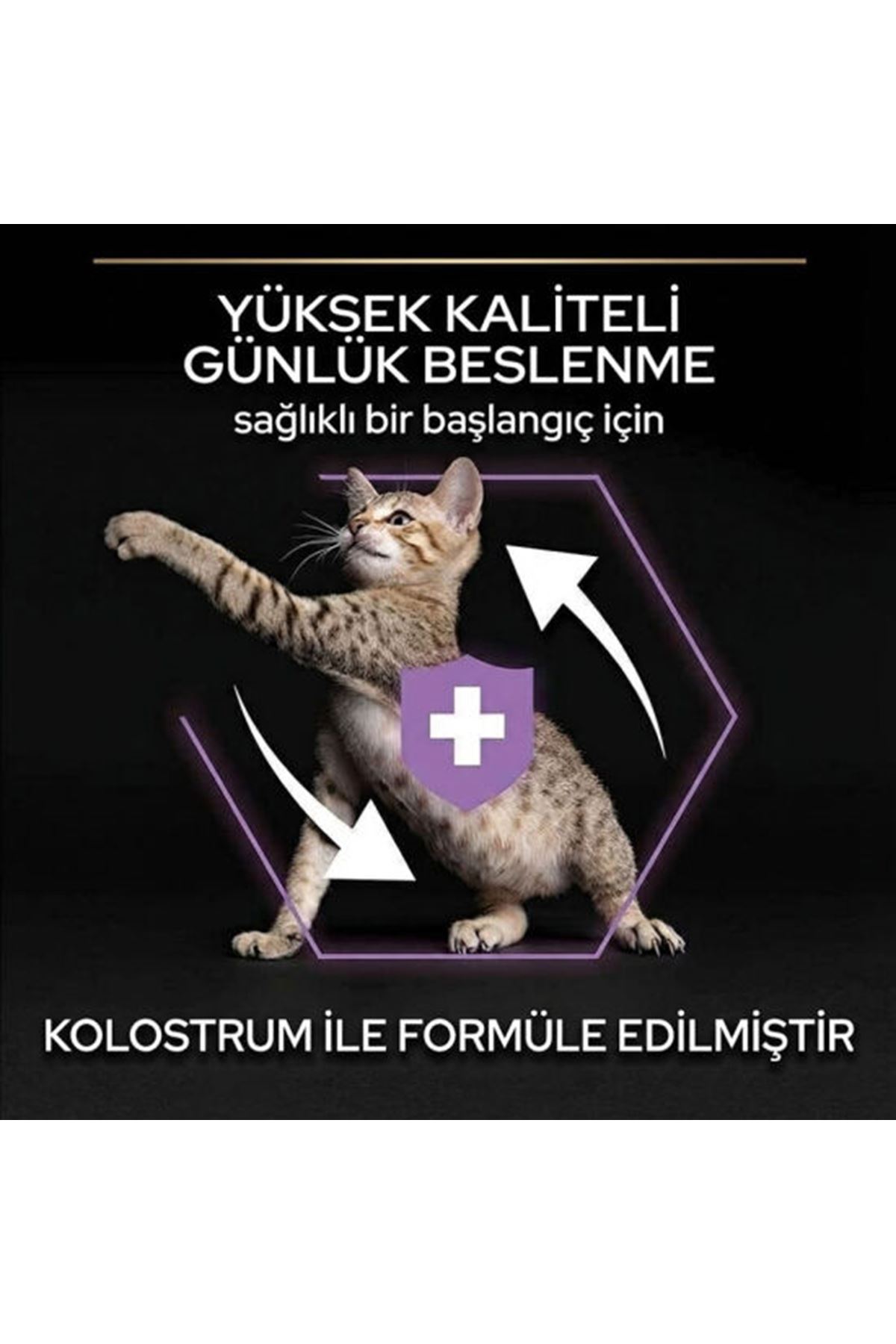 Proplan Yavru Kedi Maması Tavuklu 400 G