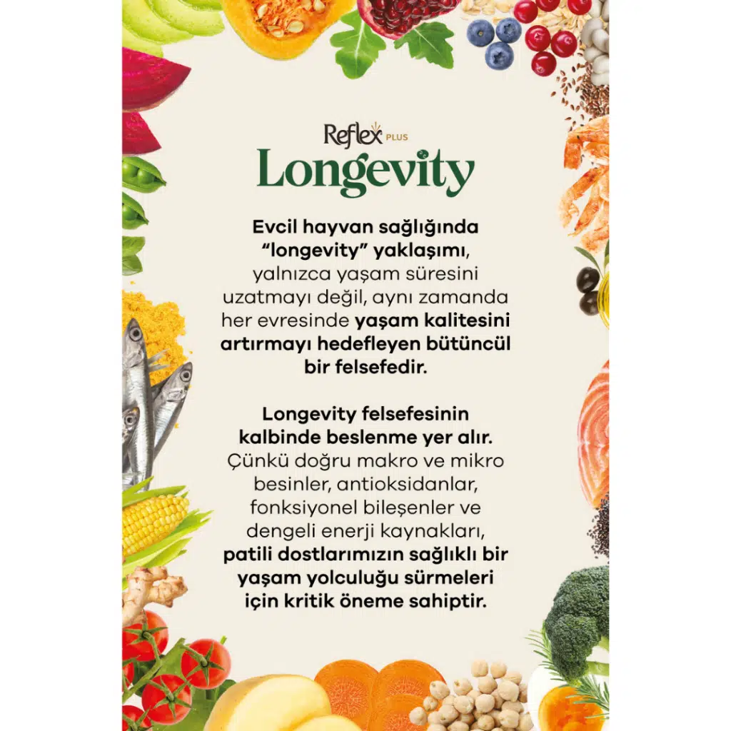 Longevity Kedi Maması 1.1 Kg