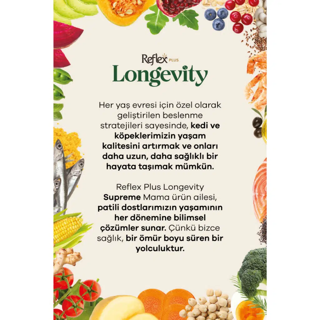 Longevity Kedi Maması 1.1 Kg