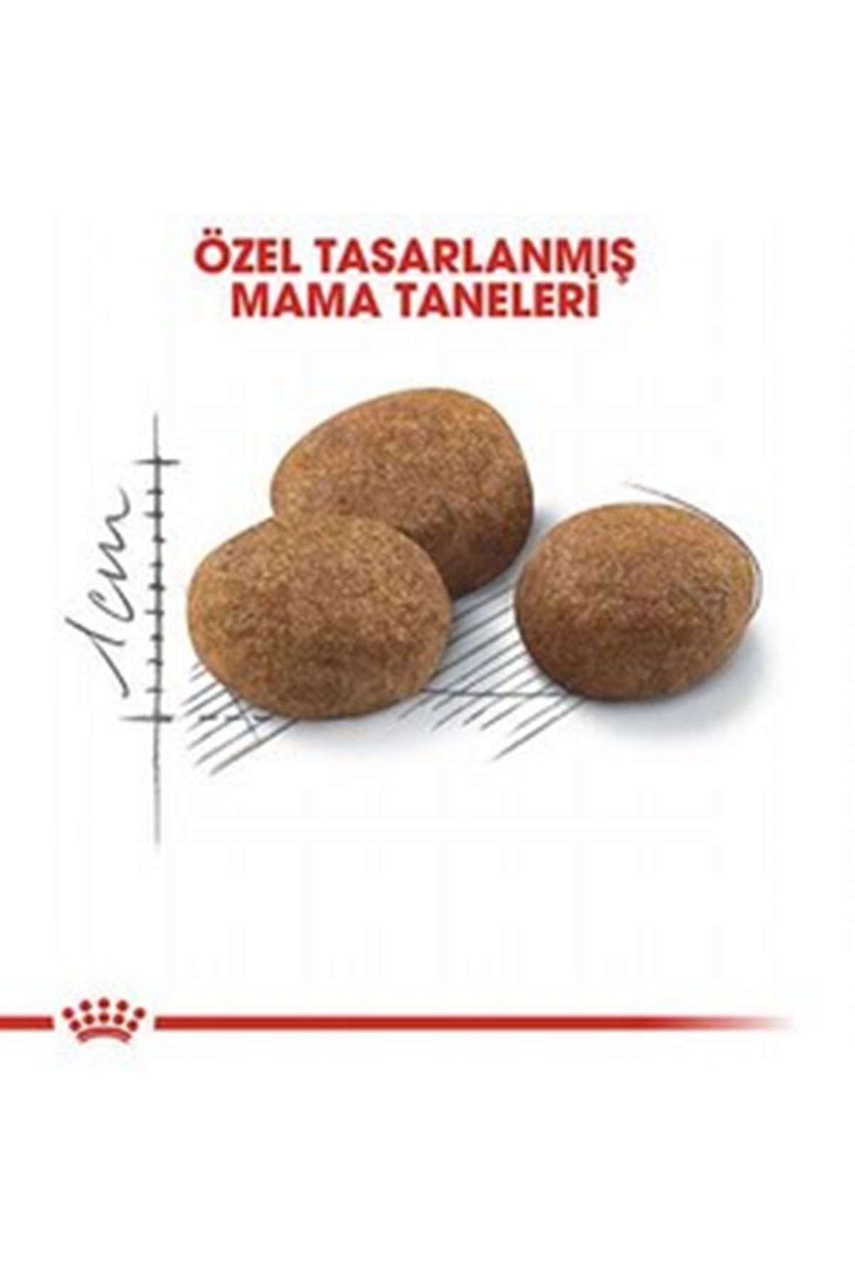 Royal Canin Kısır Kedi Maması 7+ Yaş 3.5 Kg
