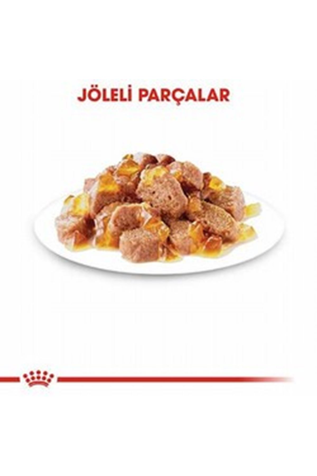 Royal Canin Yavru Kısır Kedi Yaş Maması Jöle 85 G