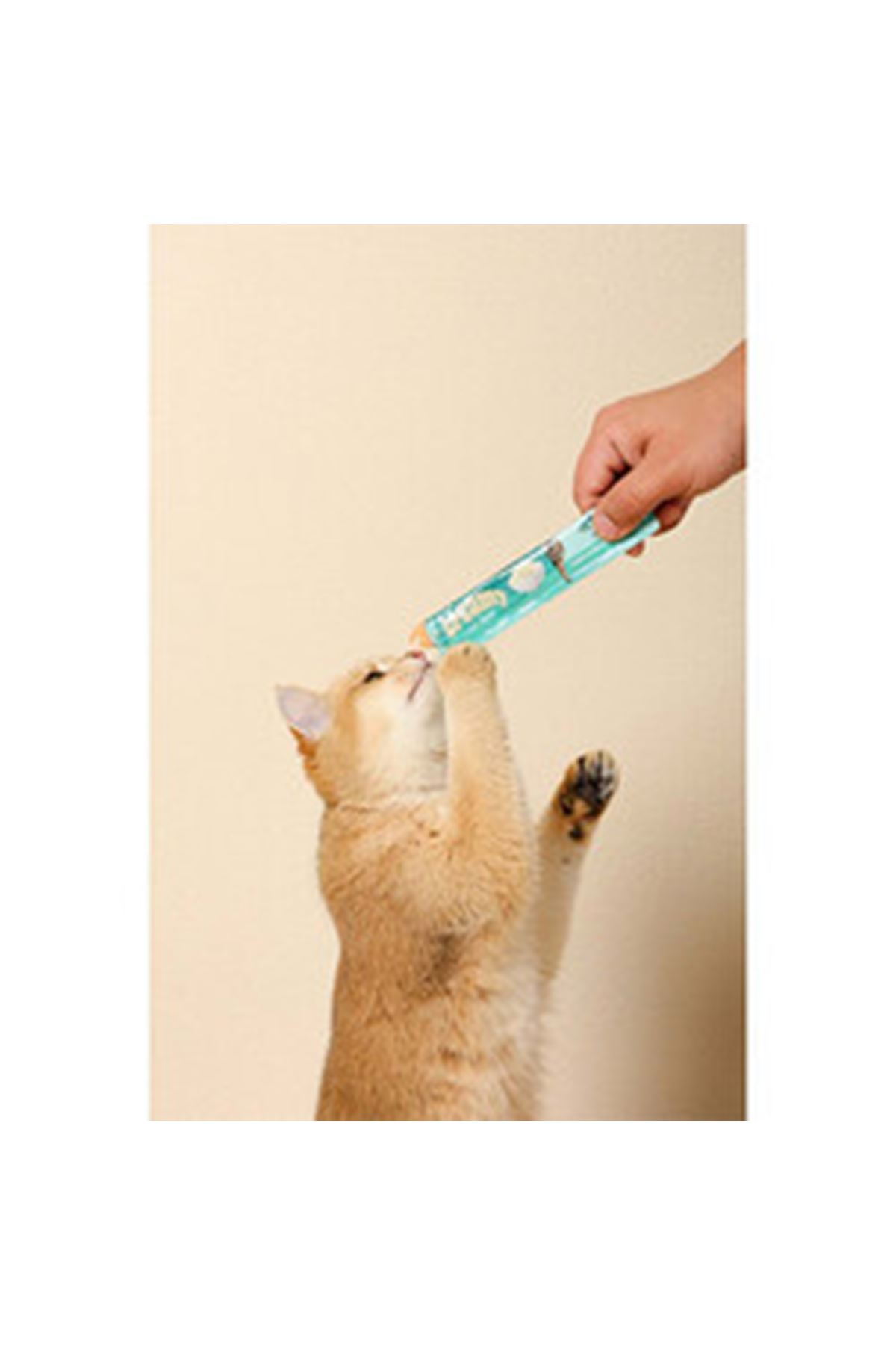 M-Pets Kedi Ödül Maması Somonlu ve Biftekli 15*4 G