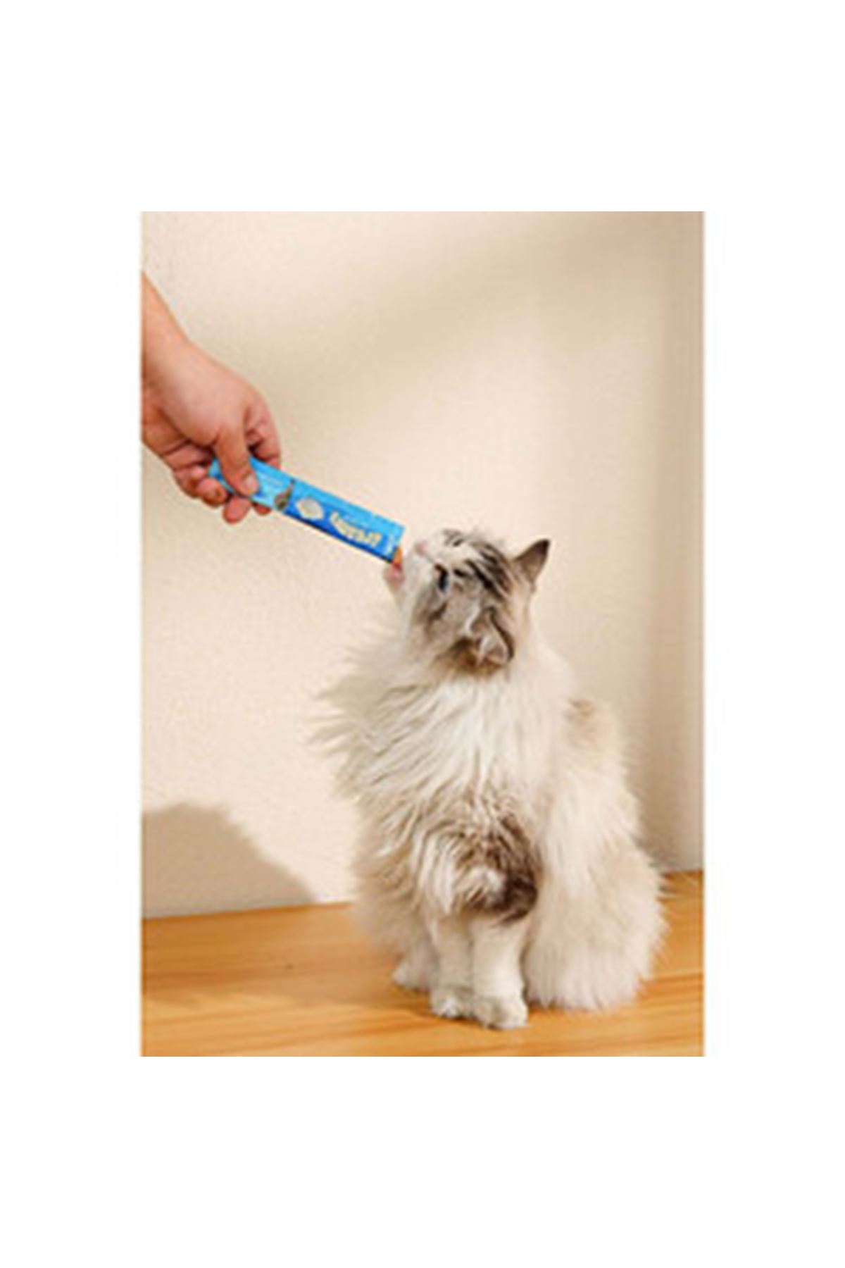 M-Pets Kedi Ödül Maması Ton Balık,Karides 15*4 G