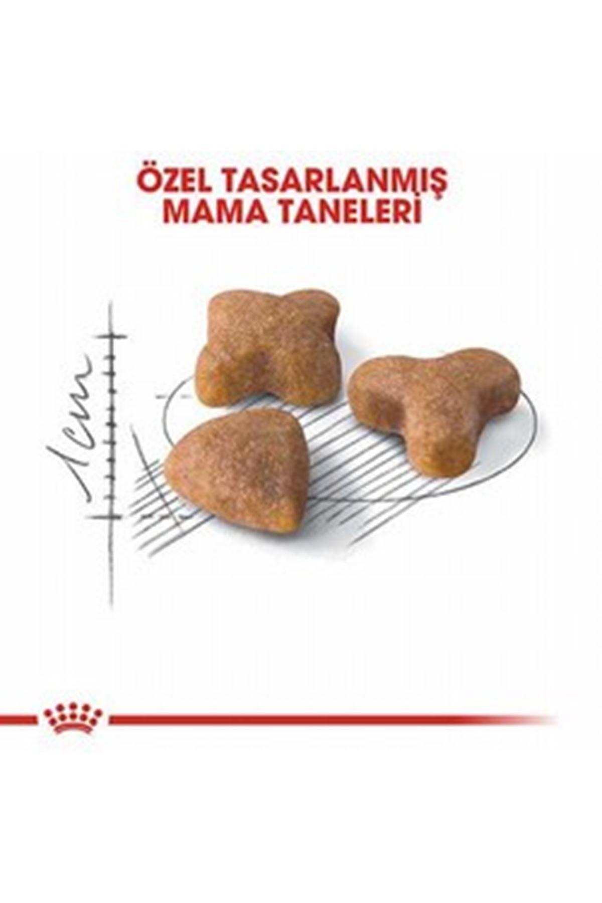 Royal Canin Kedi Maması Sensible33 4 Kg