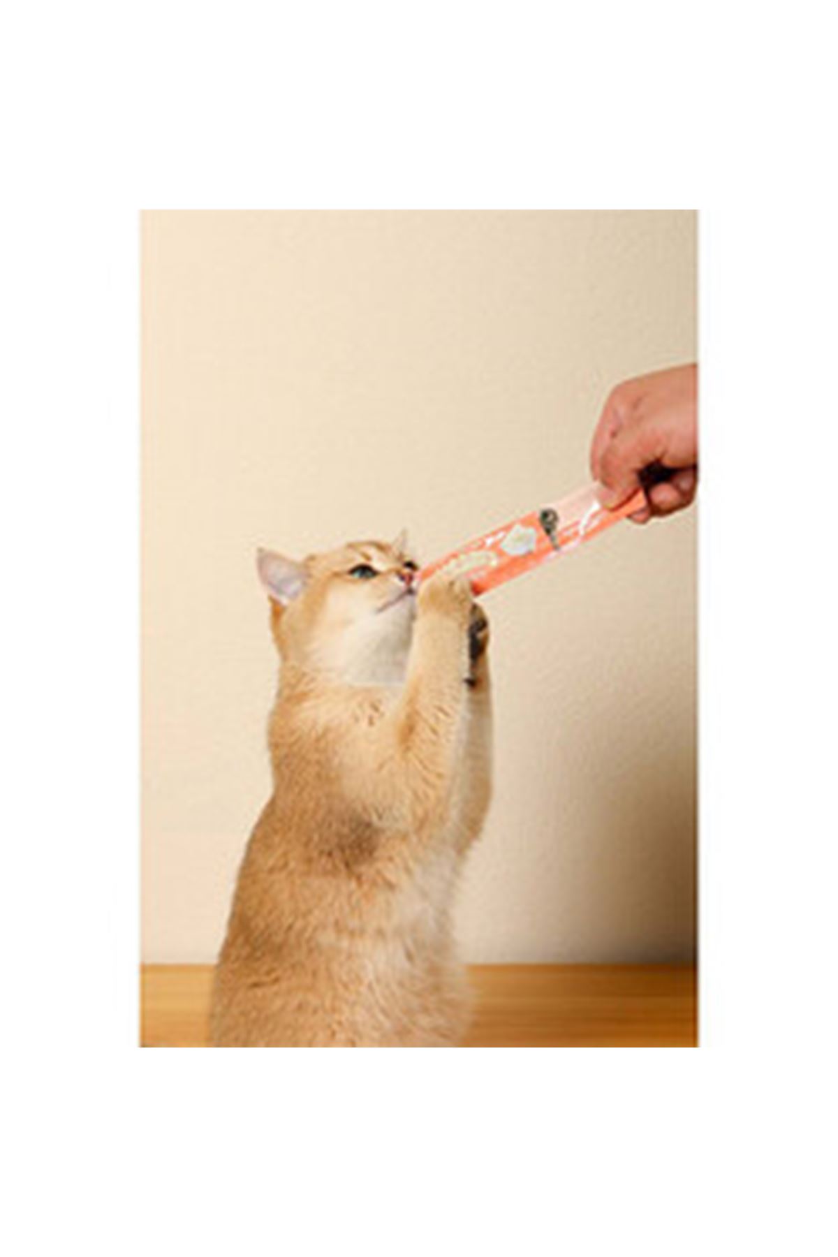 M-Pets Kedi Ödül Maması Somonlu 15*4 G