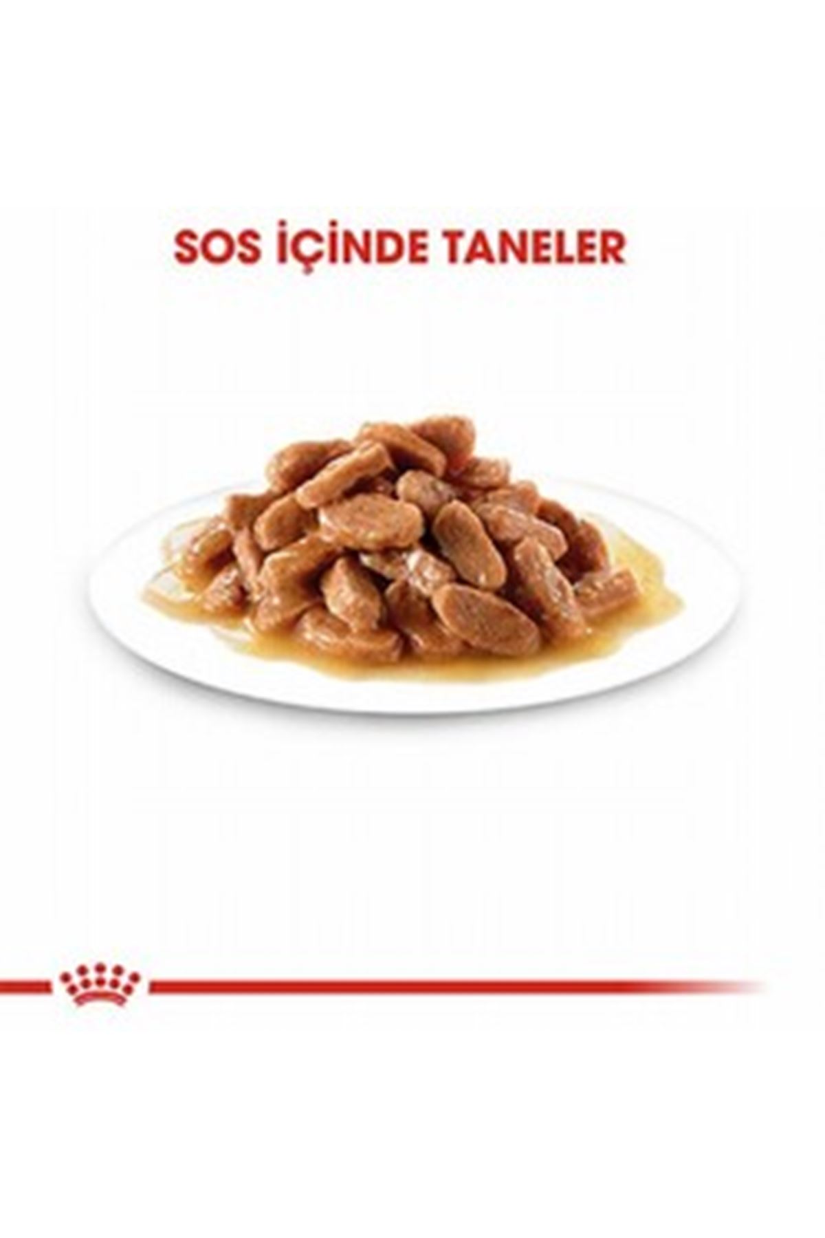 Royal Canin Yavru Kedi Yaş Maması Gravy  85 G