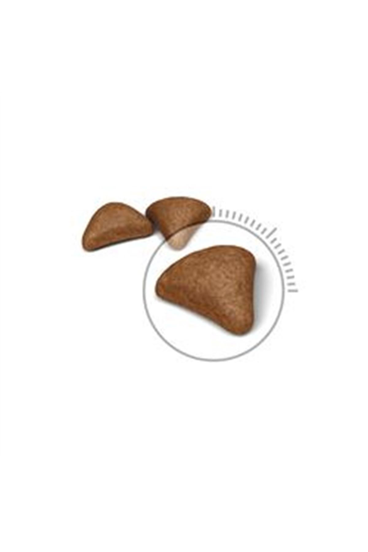 Royal Canin Kedi Maması Tüy Yumağı Kontrol 2 Kg