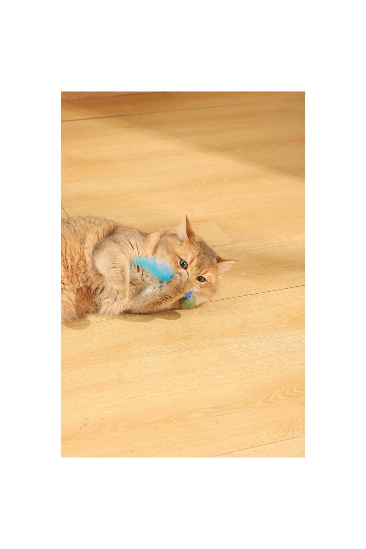 M-Pets Kedi Oyuncağı Catnipli Tüylü Top Mavi 13 Cm