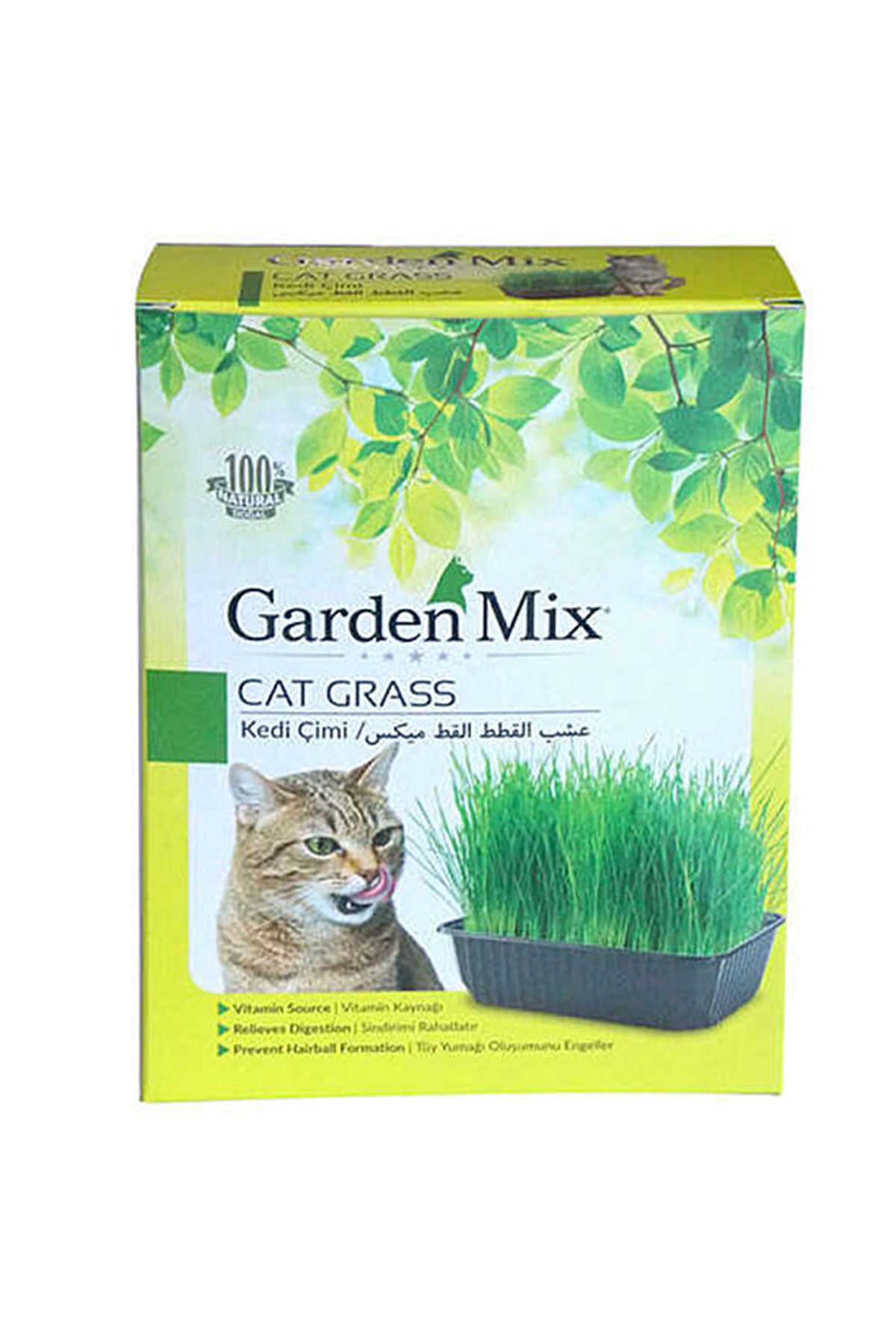 Garden Mix Kedi Çimi