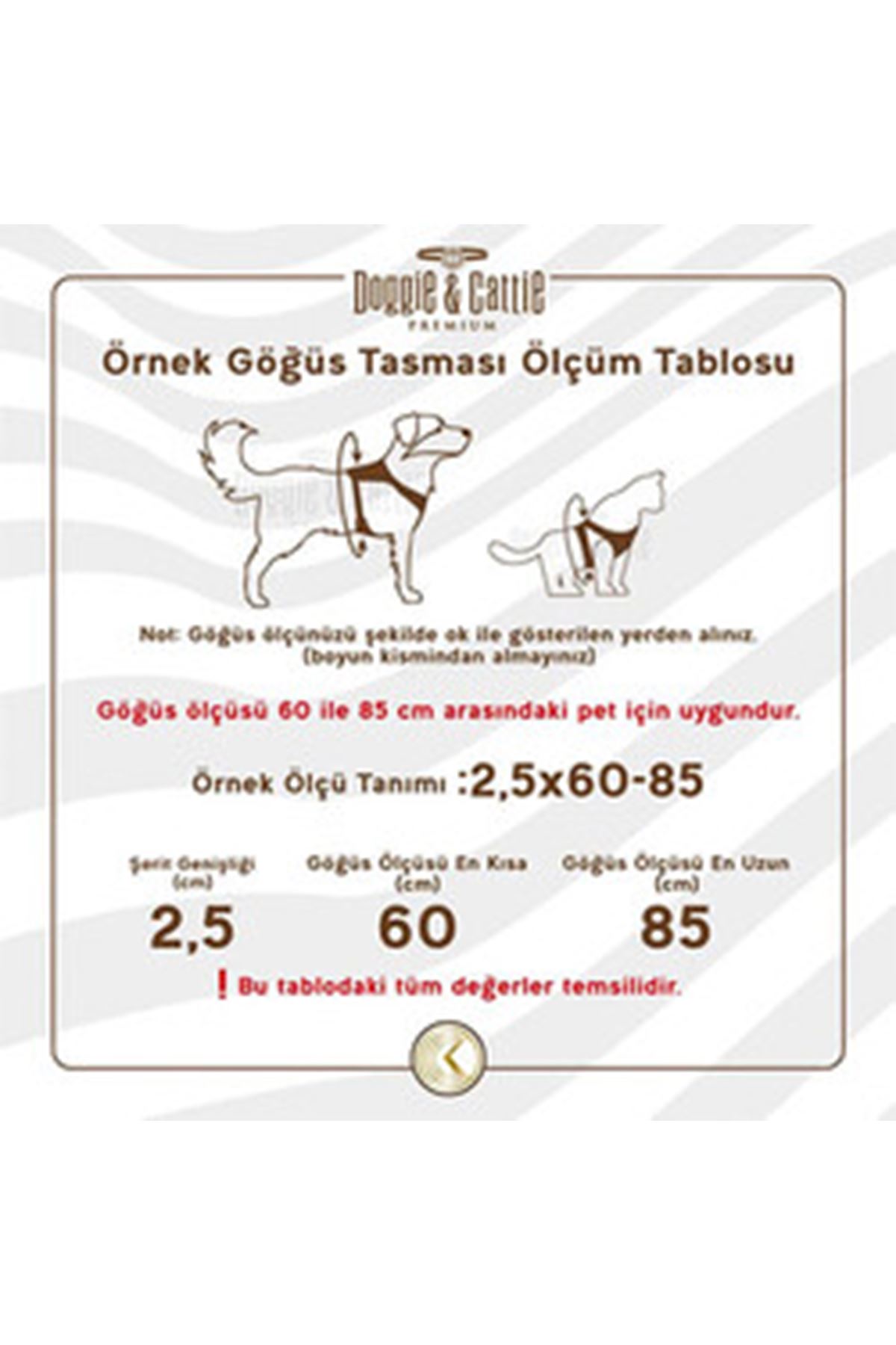 Cattie Kedi Göğüs, Gezdirme Takımı Kırmızı 25-40Cm