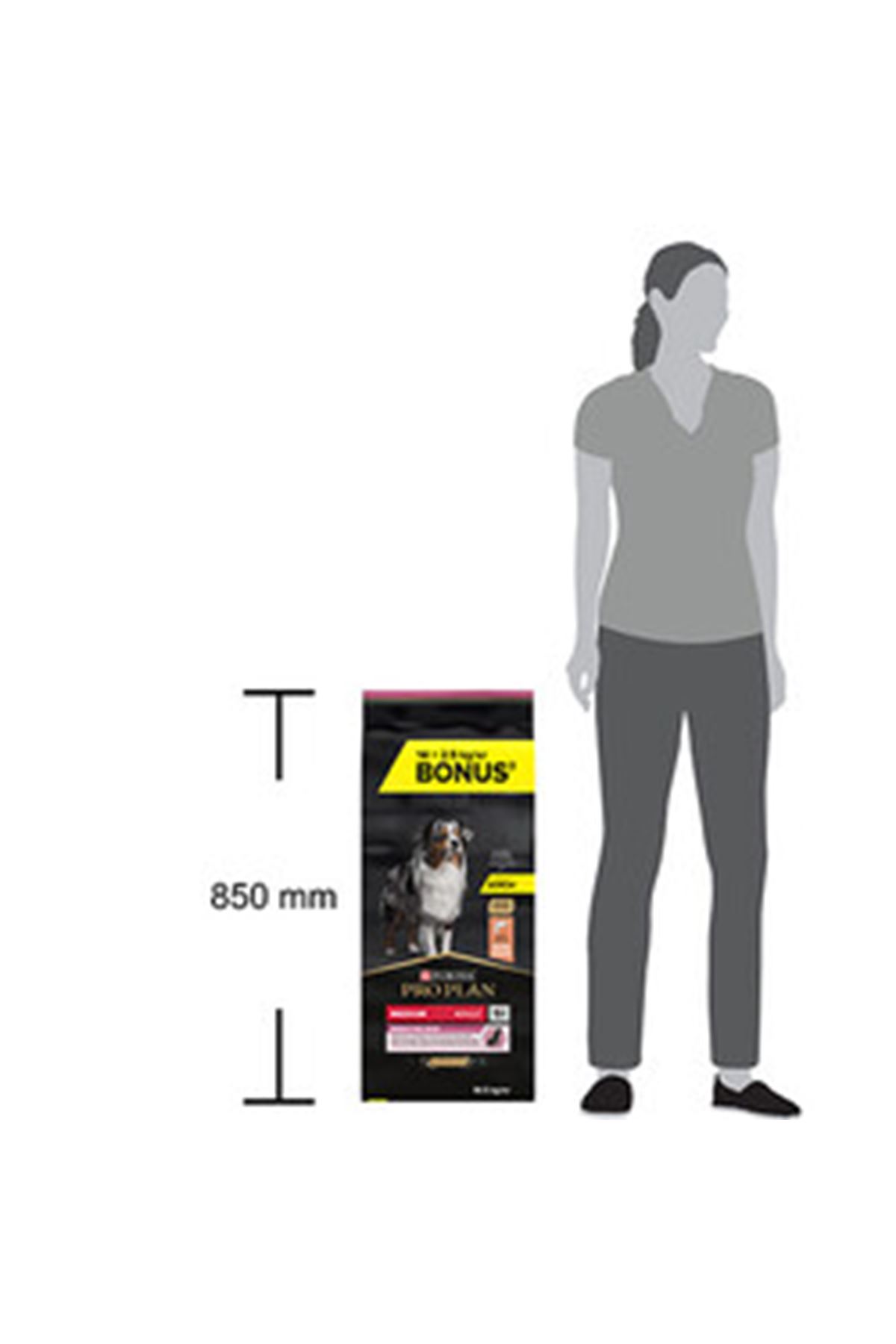 Proplan Köpek Maması Orta Irk Somonlu 14 Kg+2.5 Kg