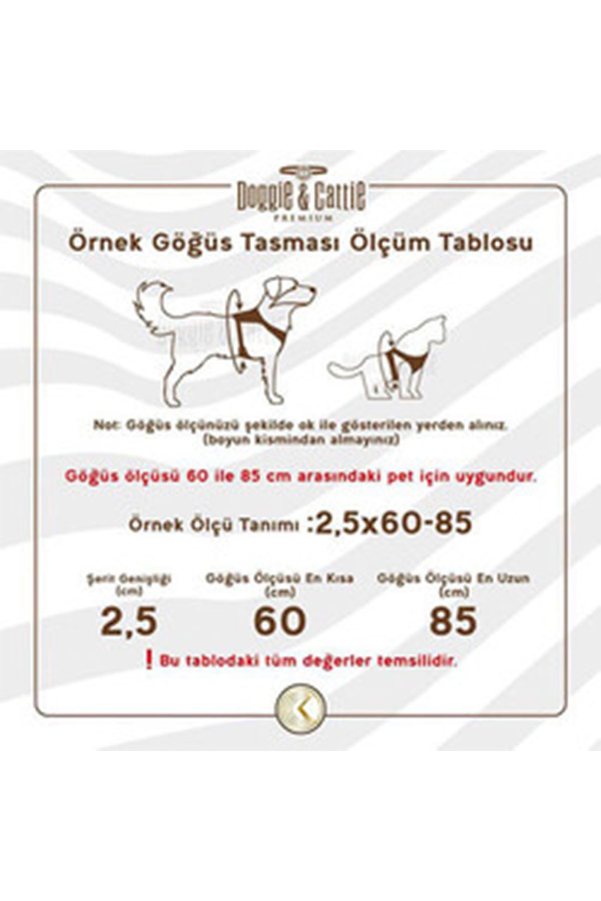 Cattie Kedi Göğüs, Gezdirme Takımı Turuncu 25-40Cm