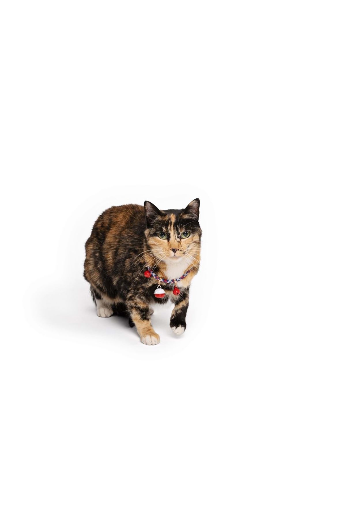 M-Pets Kedi Boyun Tasması Pixie Zilli Mavi-Kırmızı
