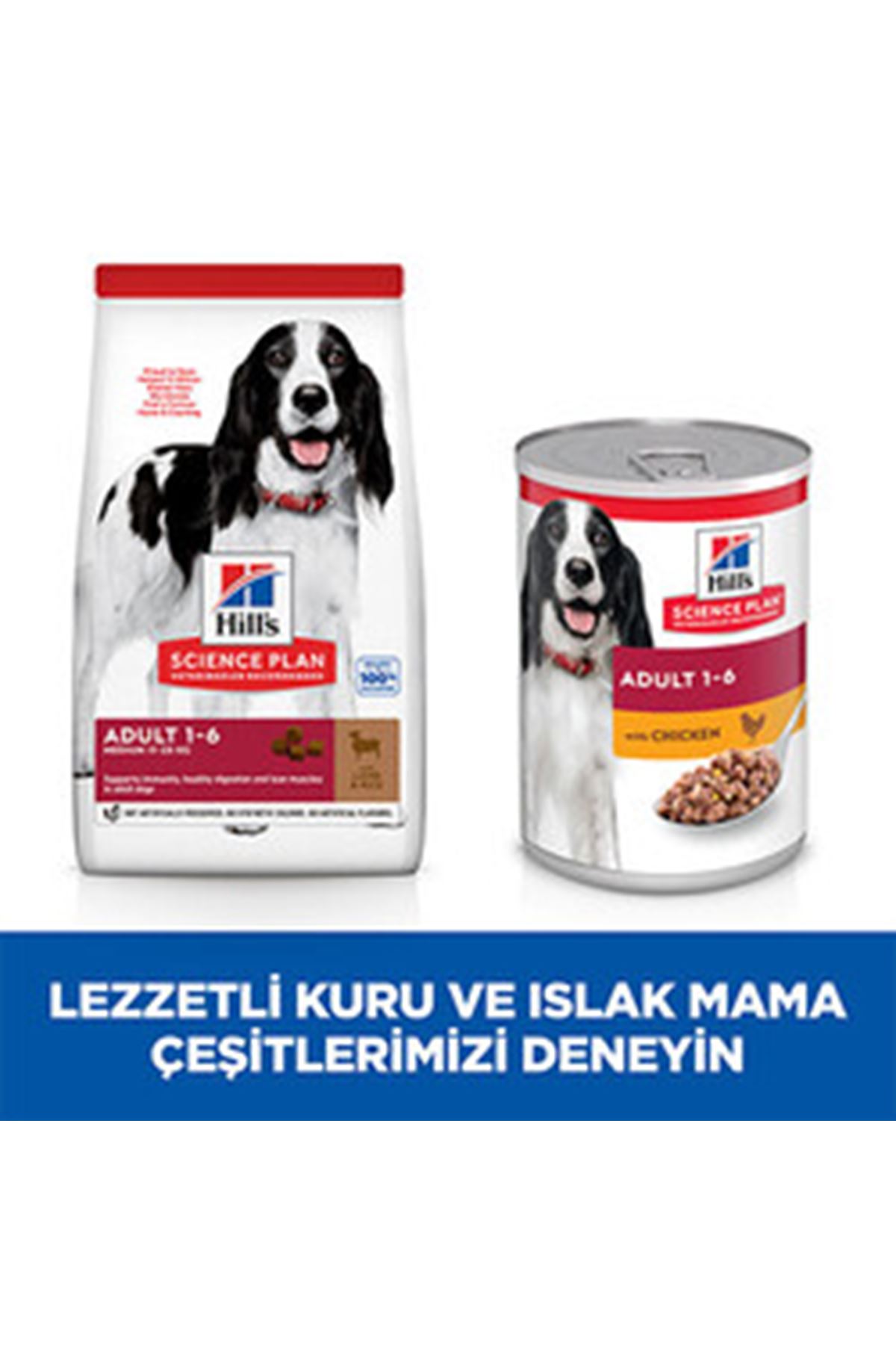 Hill's Köpek Maması Orta Irk Kuzu, Pirinçli 2.5 Kg
