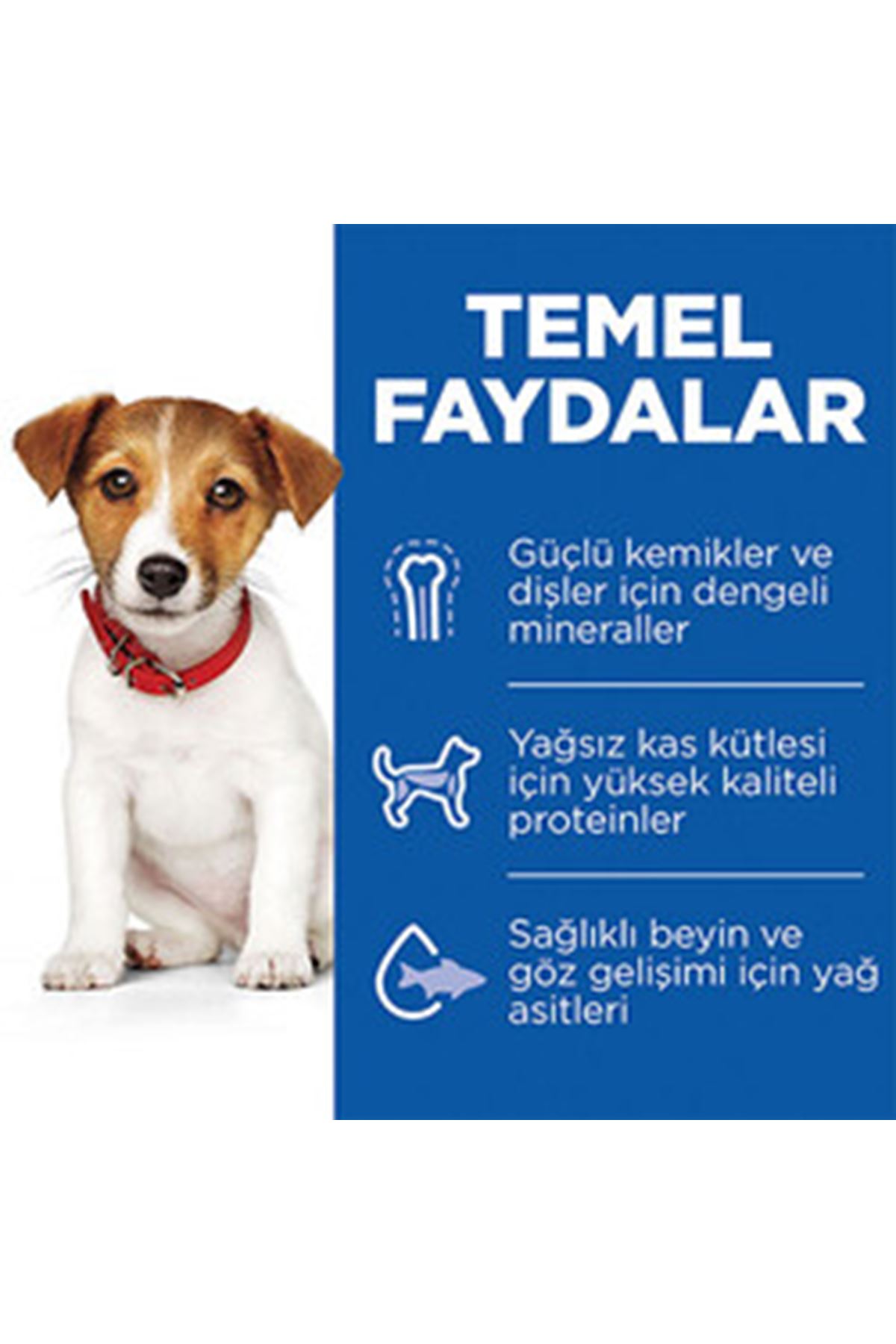 Hill's Yavru Köpek Maması K.Irk Kuzu,Pirinçli 6 Kg