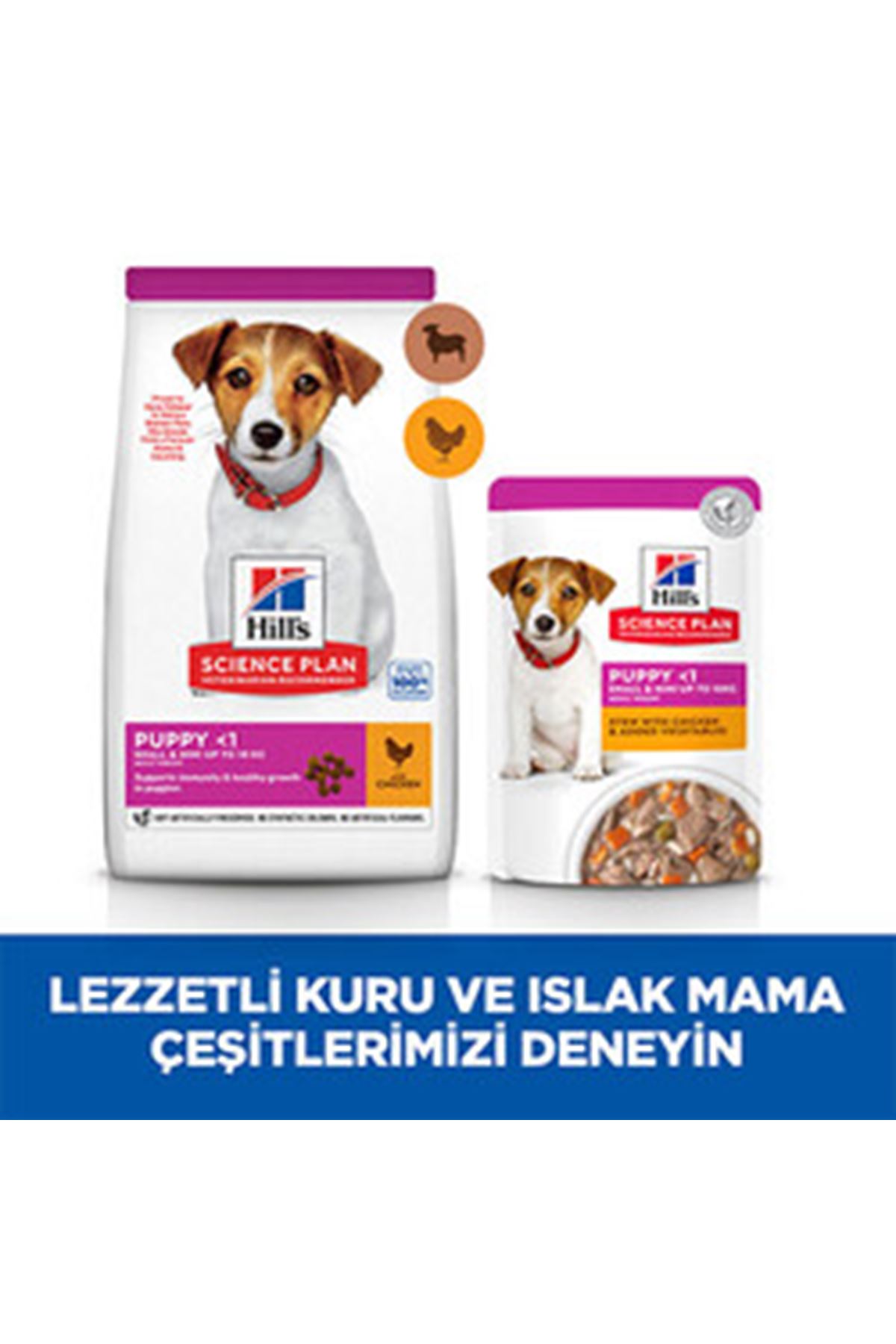 Hill's Yavru Köpek Maması K.Irk Kuzu,Pirinçli 6 Kg