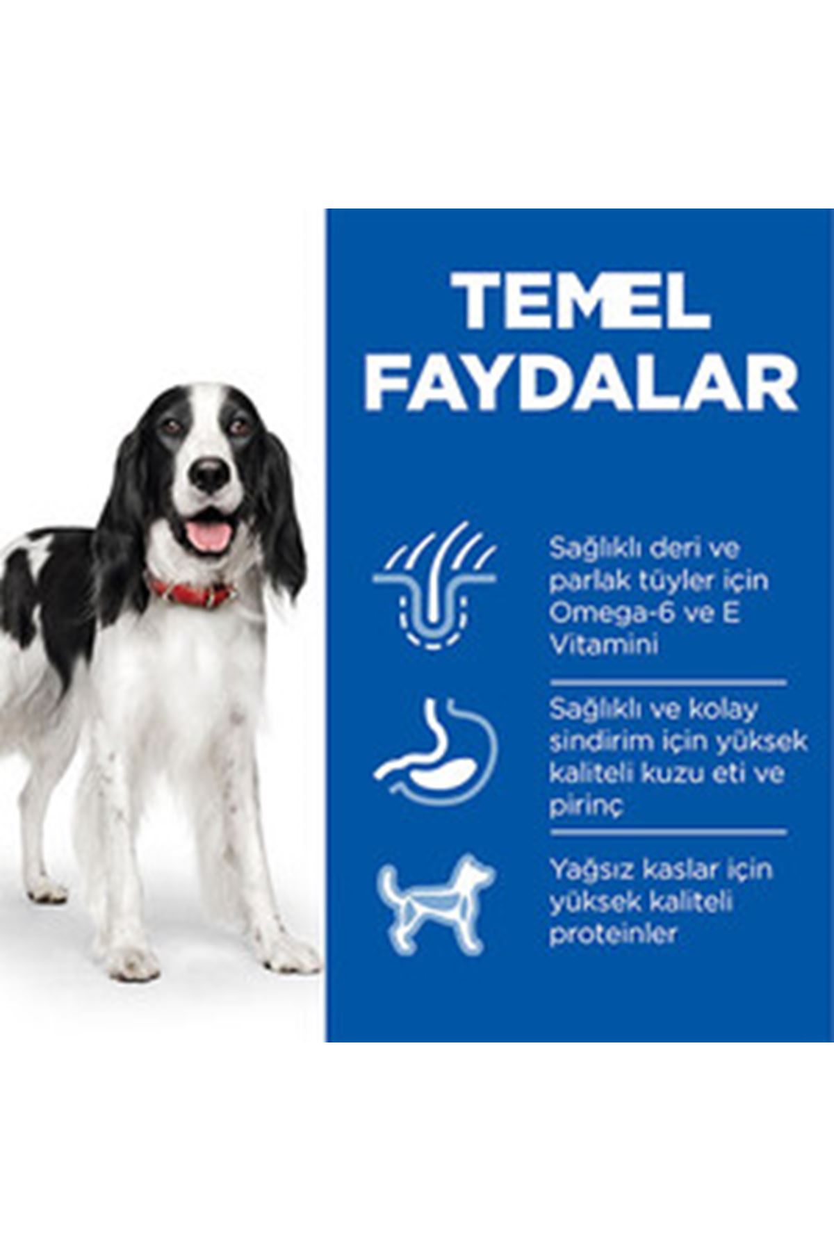 Hill's Köpek Maması Orta Irk Kuzu, Pirinçli 2.5 Kg