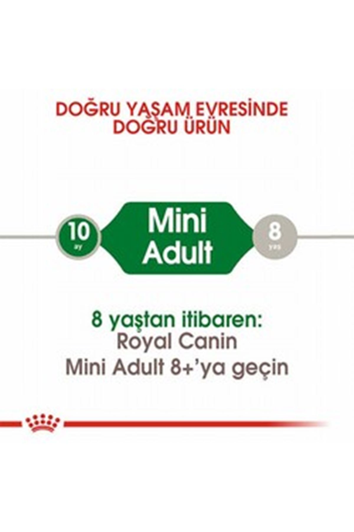 Royal Canin Köpek Maması Mini Irk 4 Kg
