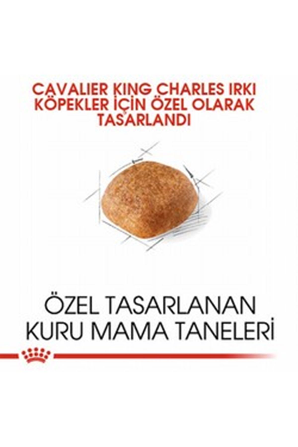 Royal Canin Köpek Mama Cavalier King Charles 1.5Kg